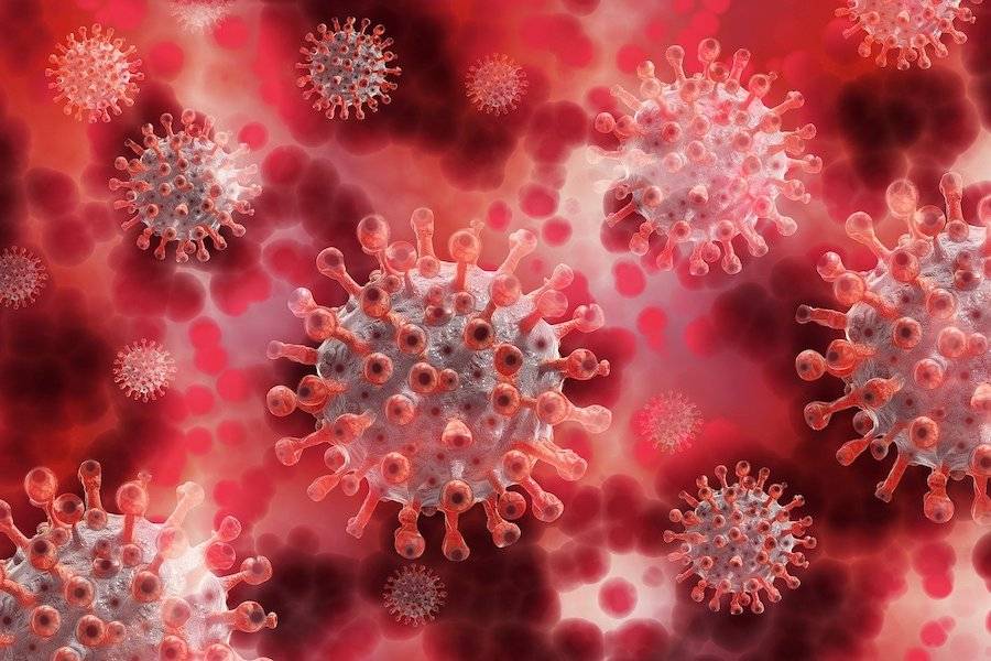 Imunitet posle preležane COVID-19 i najbolji preparati za jačanje imuniteta u odnosu na virus SARS-CoV-2